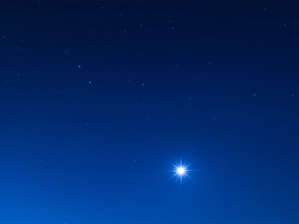 Stella Nocturne